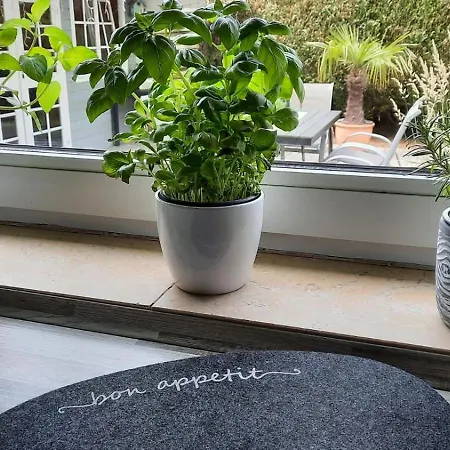 公寓 Werner Im Vogelsberg